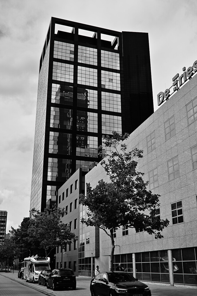 20260816-141252-Z50_2-DSC_2373-0.JPG