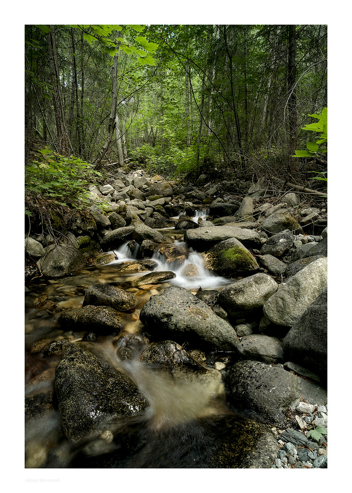 _DSC7301 (2)