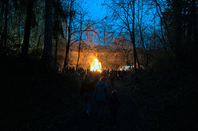 260404_202536_DSC09408