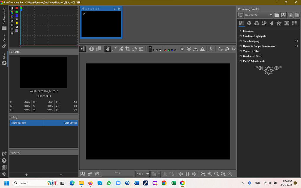 .NEF image turns completely black when opened in Raw Therapee ...