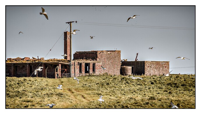 20250523-1716-9868_02