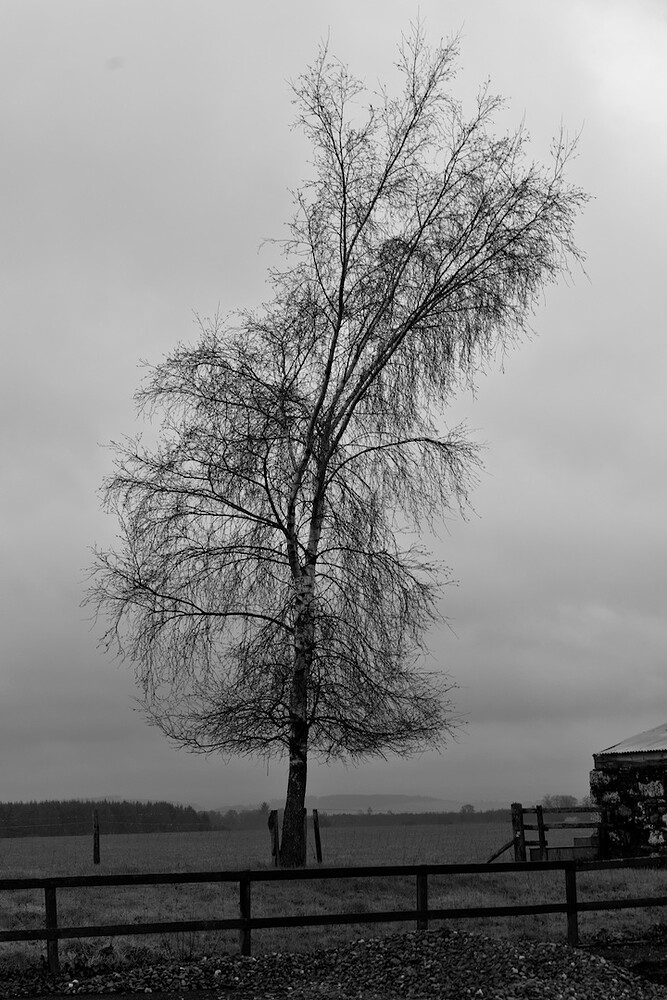 _CTW6810