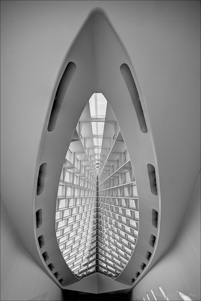 BMG03316_7_8_fused_fused-2025-web