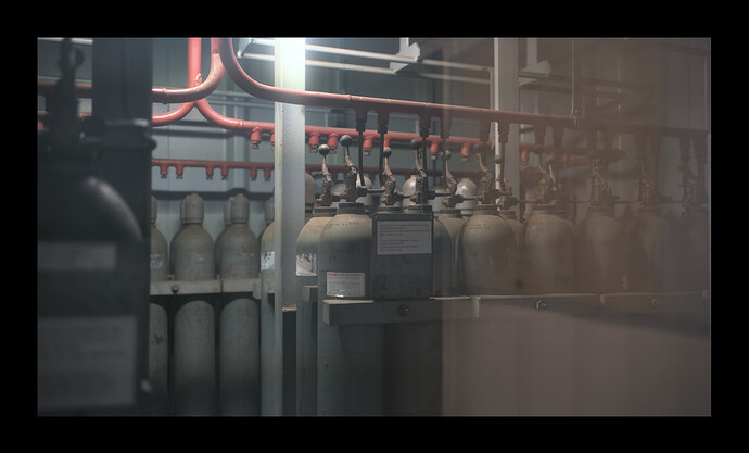 251115_143202_DSC05895