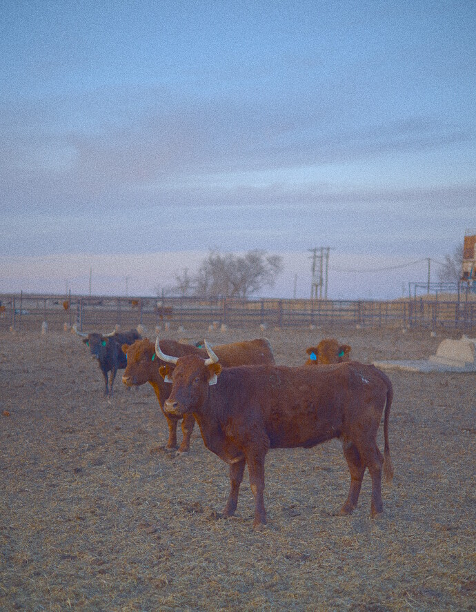 56950_small