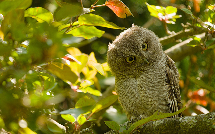 20250614-131250-5221-_DSF6172_FHDP_02