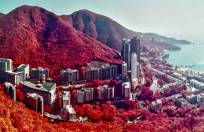 DSC01298rw - DSC01301rw_fused