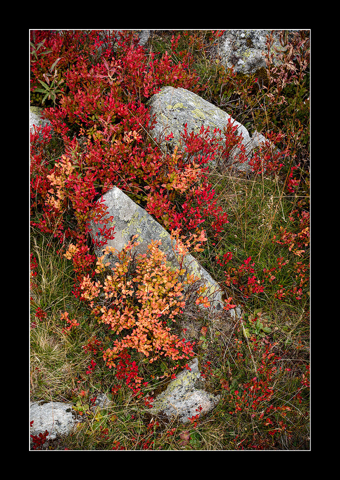 20250913_2025-09-13 nendaz_0091