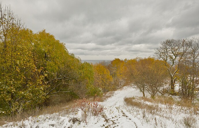 20251110-123651-5446-_DSF6397_pixls