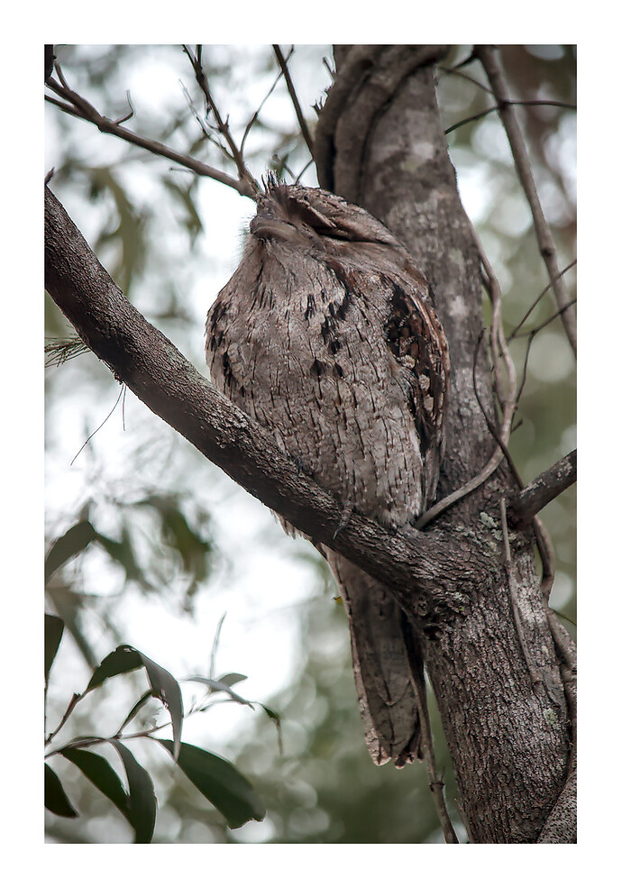 2016-05-27_16-36-39DSC_3861