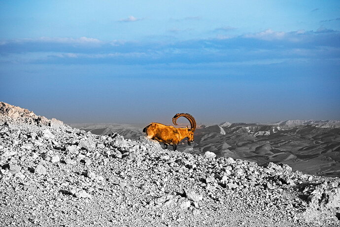 20240102_IMG_0127_RTD