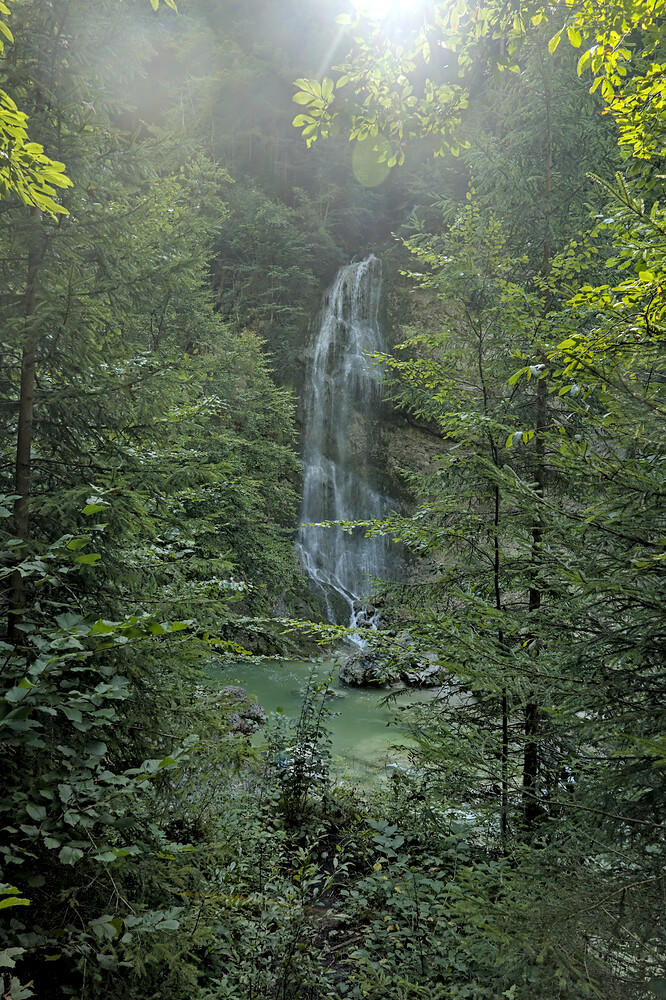 DSCF7312