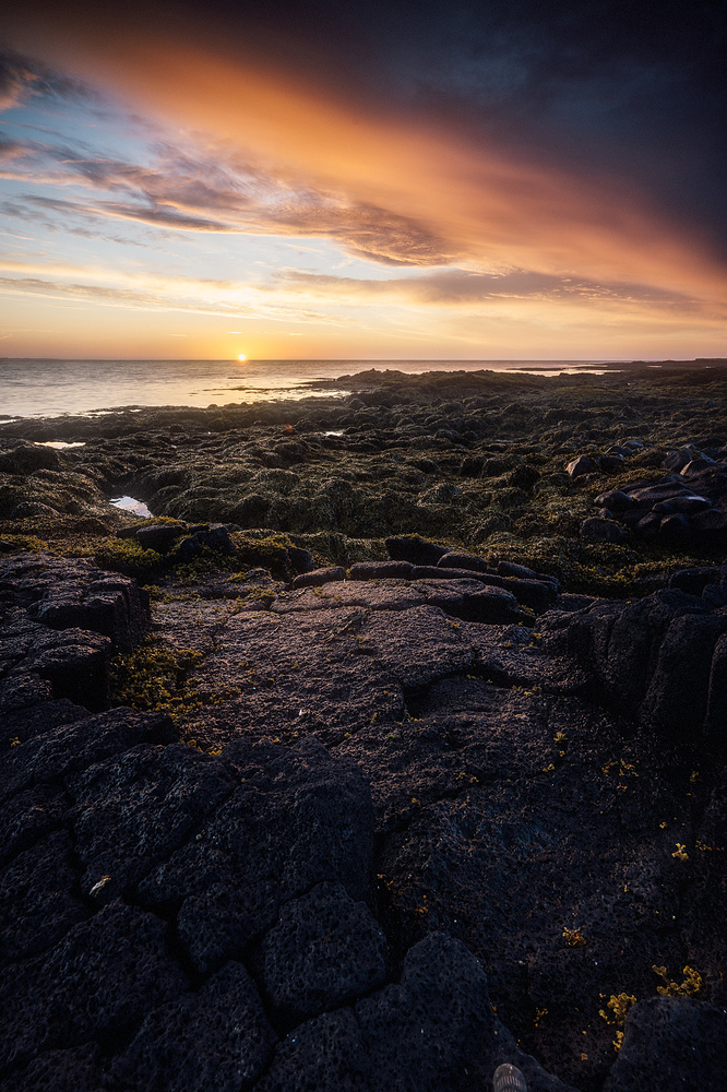 2018-07-27__7M33870-srg_1800px