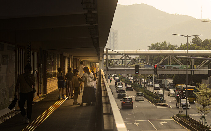 _MG_4503_01