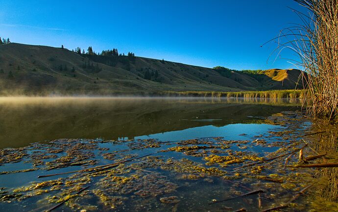 _DSC1450