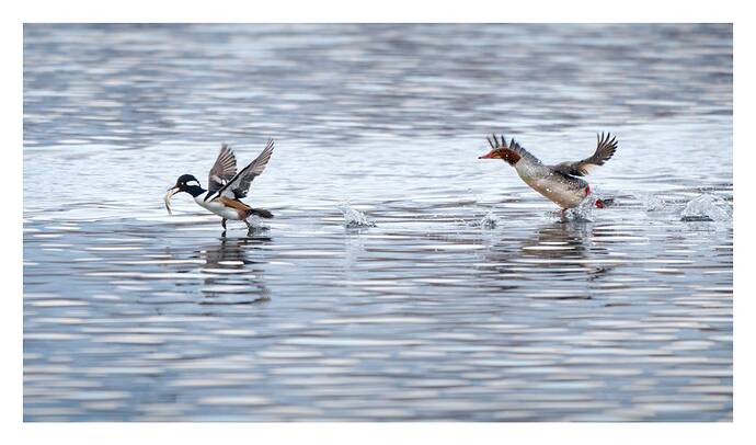 2025-11-28_09-50-49_4_PlayRAW