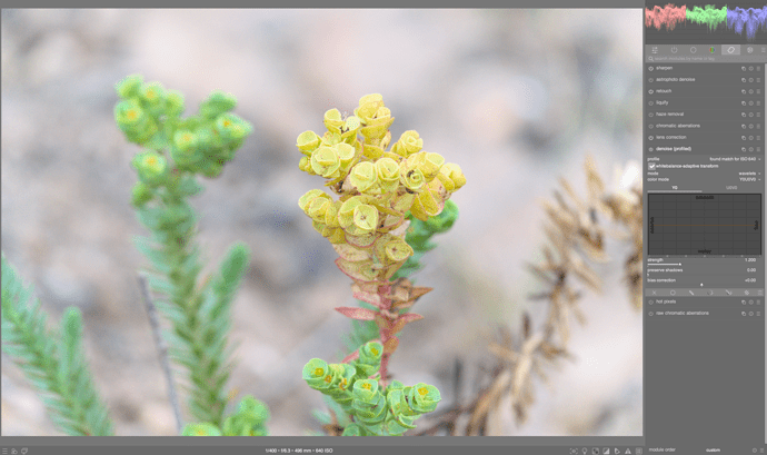 Screen Shot 2022-07-26 at 2.08.30 pm