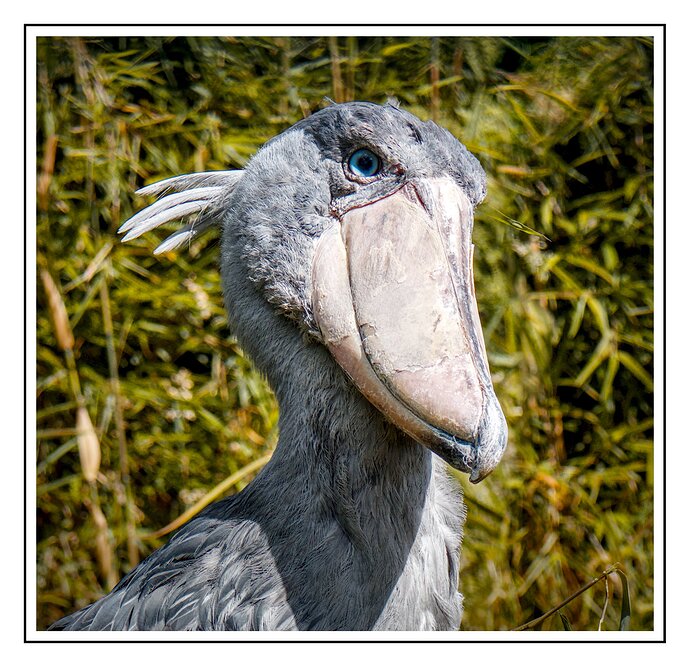 IMG_0610