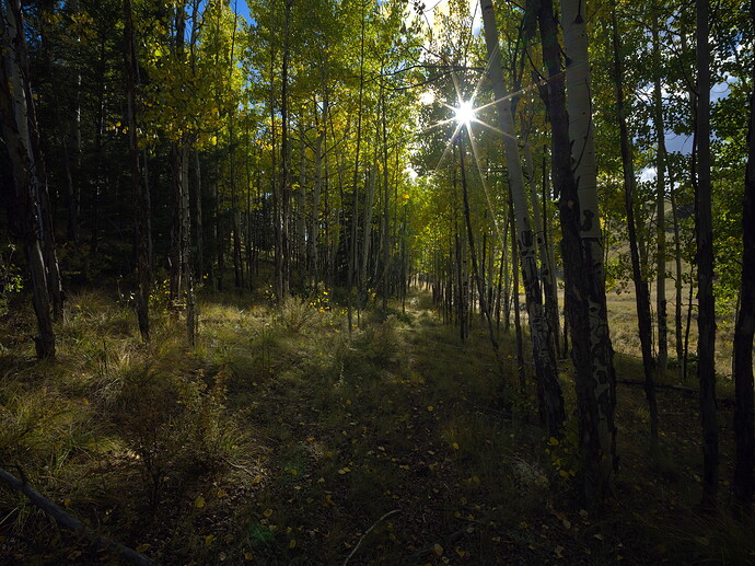 B0001474.3FR