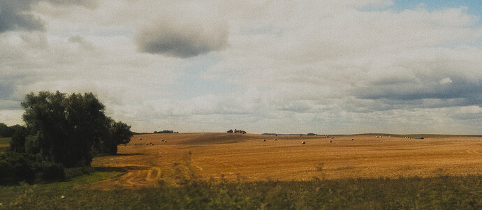 DSCF111514