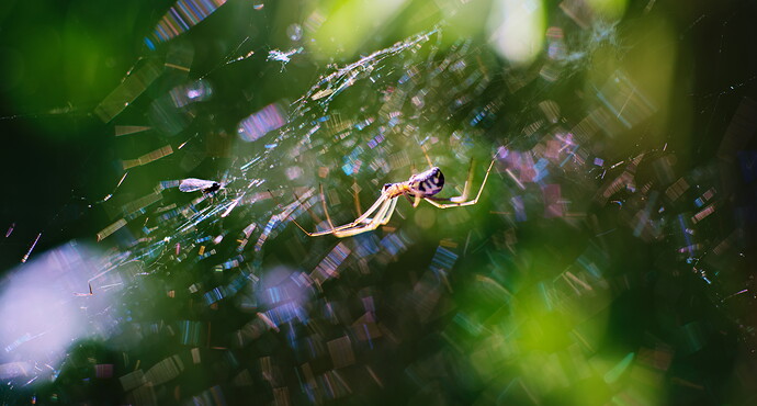 2023-05-23__DSC05176