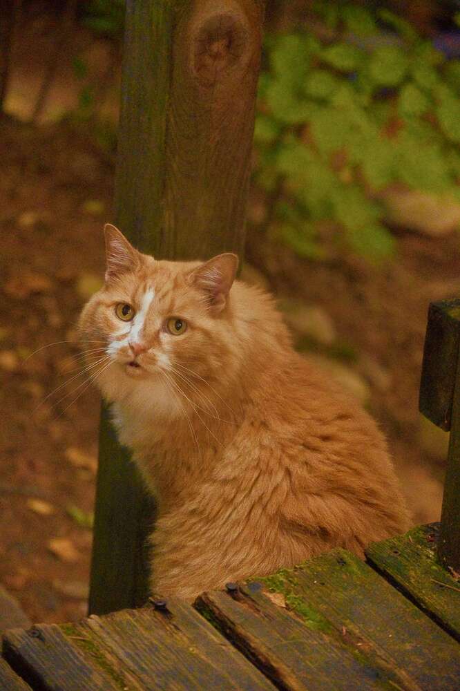 TZ5_3917_web