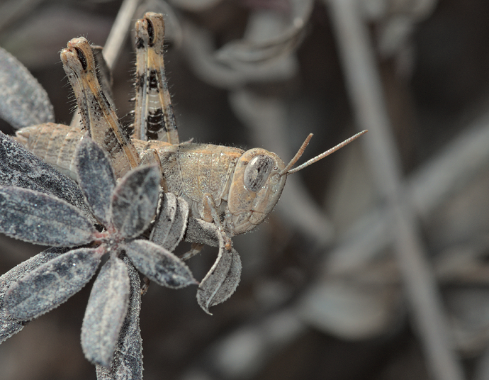 Jpeg saved after fine angle change.png