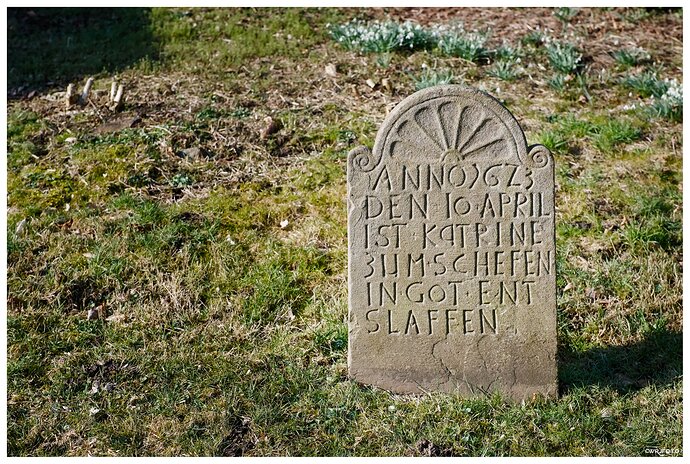 2603_Ümminger_Frühling_00059