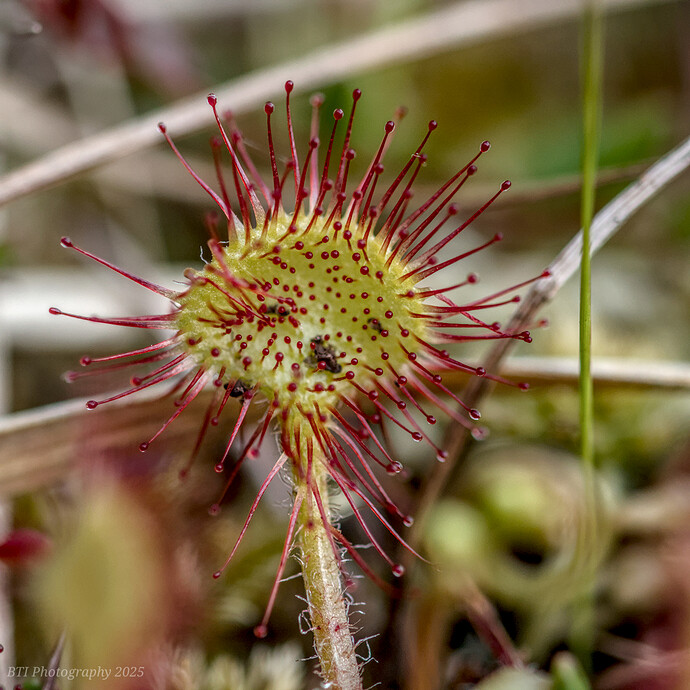 IMG_0059-Edited_ DCC