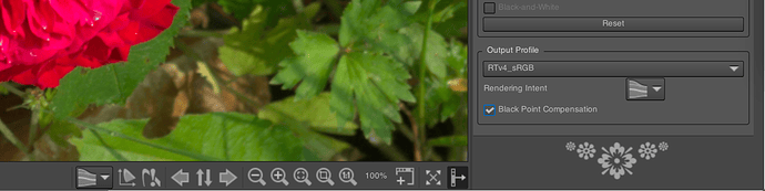 Screenshot 2023-06-15 at 10.31.26