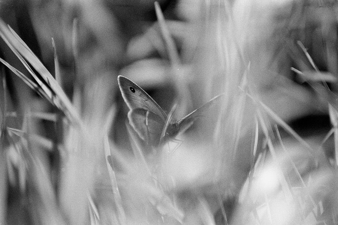 DSC04818