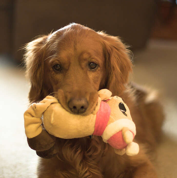 2015-01-22 093429-01