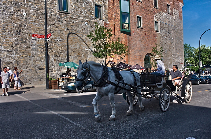 blue_horse-LocalClarity50%20retinex