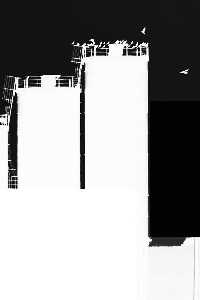 20230704_DSC_7055_RT