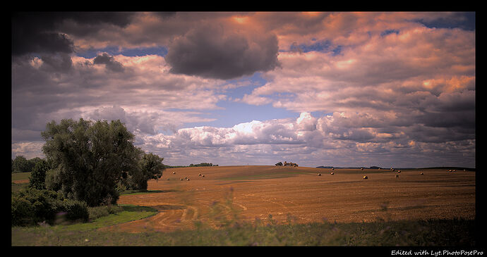 Fields_HDBB