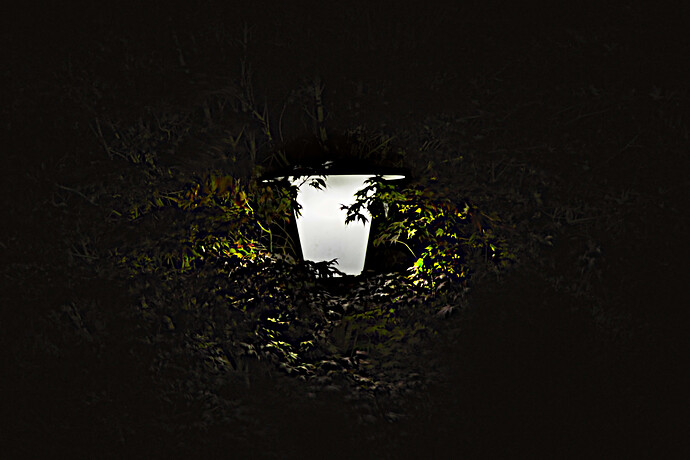 20250513_004012_001 (Jpegli)