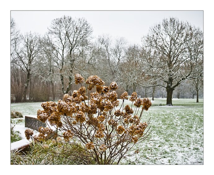 2601_Winterlich_001_02