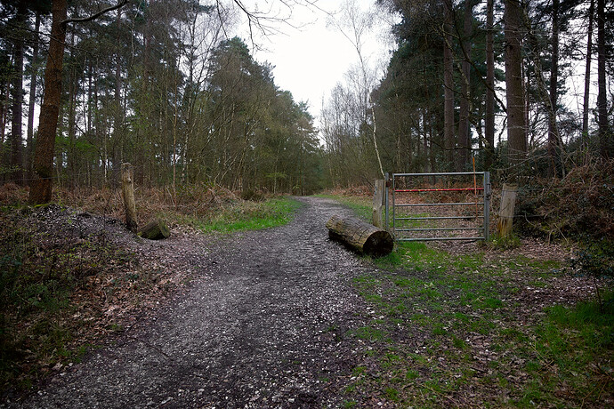 1X1A2465-ART and GIMP