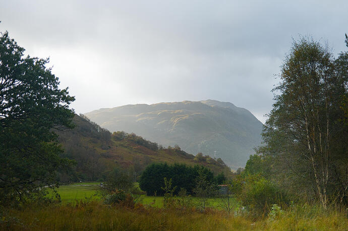 20251009_102445__DSF3452