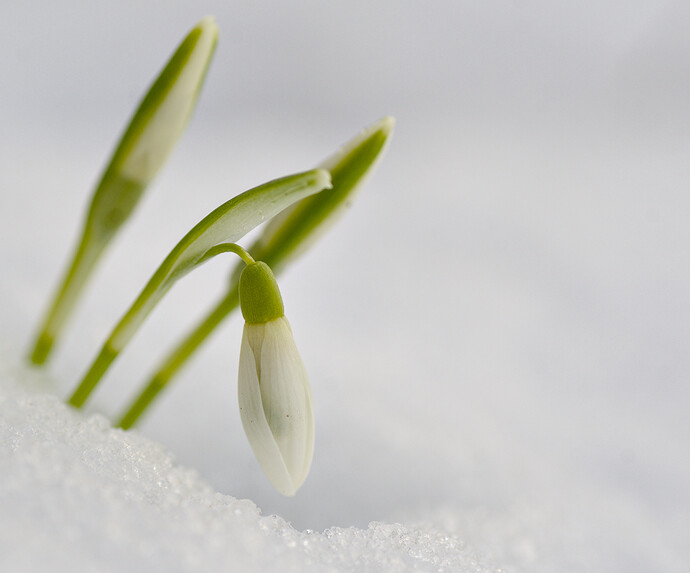 260216_132312_DSC08577