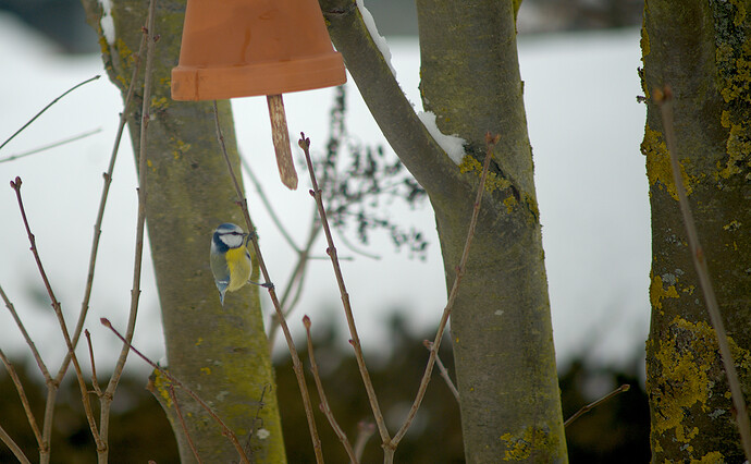 260127_111128_DSC08423