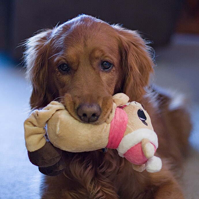 2015-01-22 093429-01_01