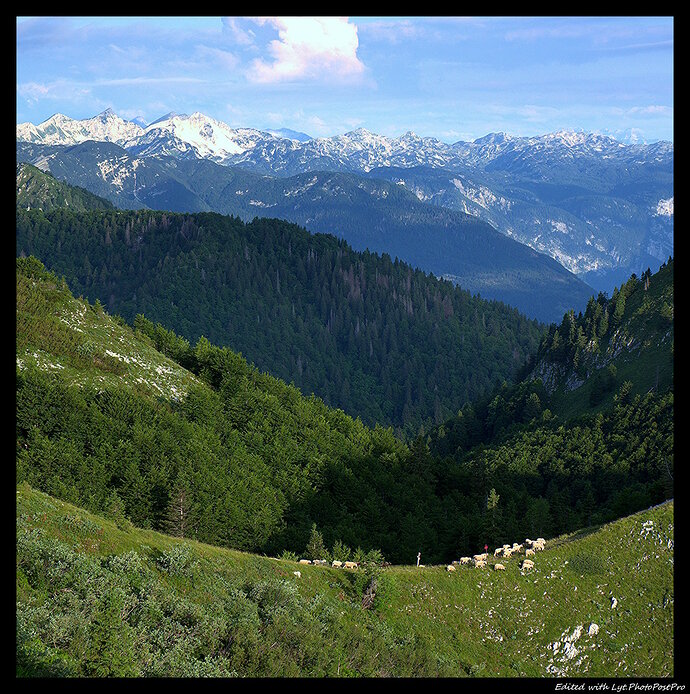 Alpine_HDBB