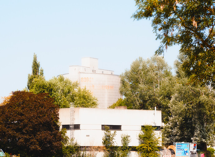 P8020010
