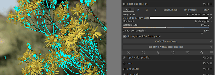 Screenshot from 2023-07-10 14-25-42