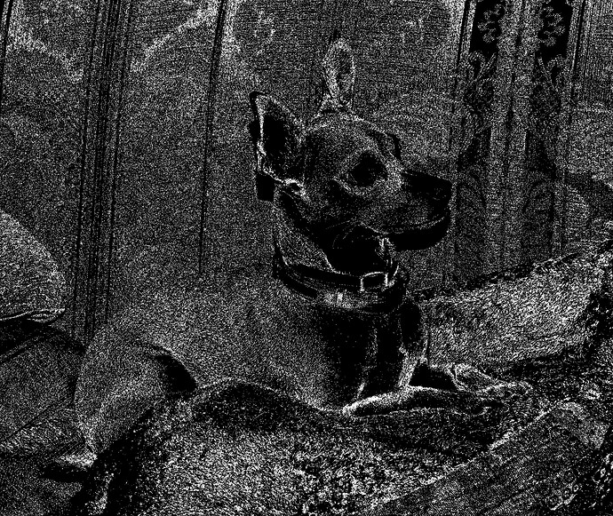 Dog RT 0.5 to 0.6 levels