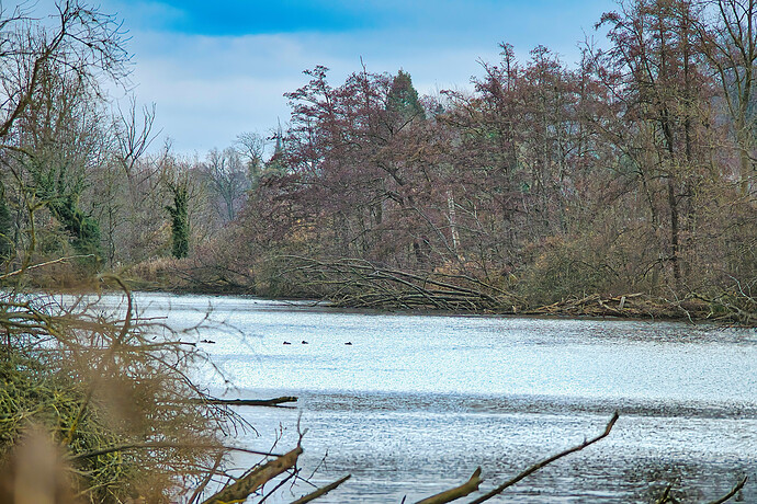 PC140653 v2 (jpeg-li)