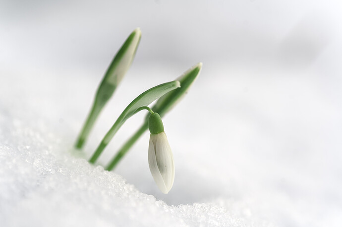 260216_132312_DSC08577