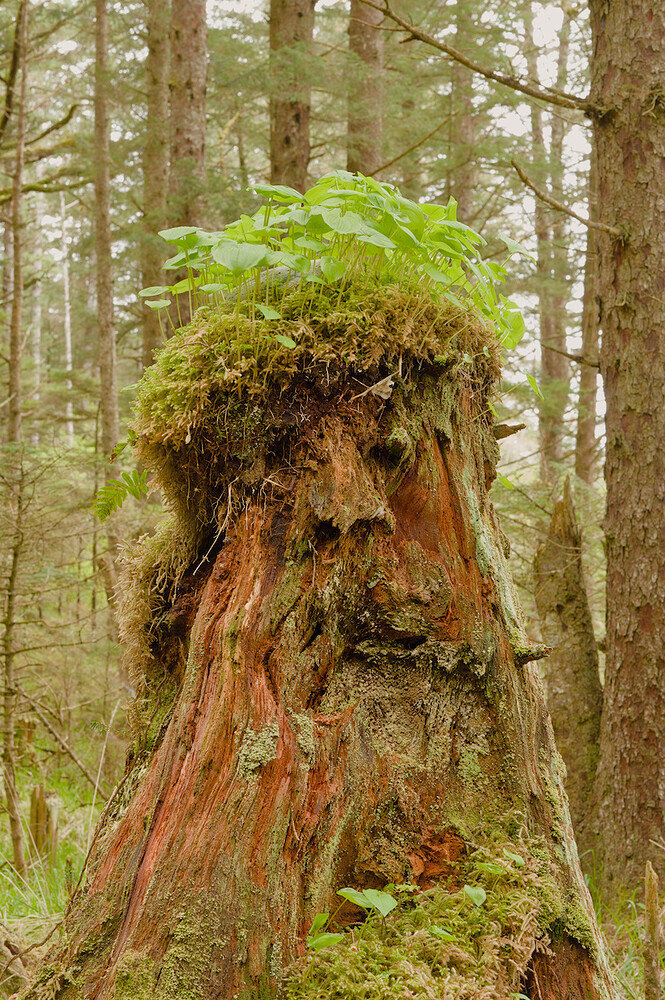 20250504-193831-3968-_DSF4917_FHDP