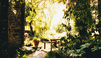 garden_pro_400h_crystal_archive_typeii_1.0cpl_0preflash_0Y0M_015pe